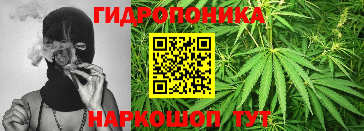 Конопля планчик  Шишки марихуана план  Конопля гибрид  Железноводск  Вход с VPN 